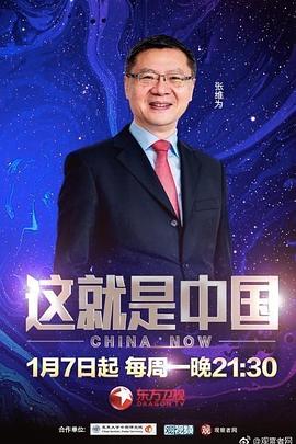 国产无码精品久久久久久久海报